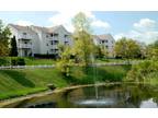 1br - Last Elite 1BR w/ Stainless Steel Appliances! 30 Seconds To I71 (Hyde Park