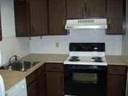 $600 / 2br - Locust Ave. (across from Boardman plaza) Newly remodeled (Boardman)