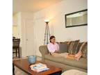 $919 / 1br - The Estates = Greatest student living community (Gainesville