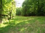 Property for sale in Patrick Springs, VA for