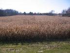 Property for sale in Maple Park, IL for