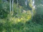 Eagle Vail Colorado Land for Sale, Backs to National Forest