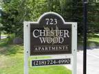 $885 / 1br - 1BR Remodeled Apartment (723 Kenwood Ave, Duluth) (map) 1br bedroom
