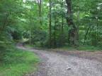 Property for sale in Clendenin, WV for
