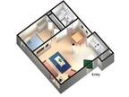 $814 / 1br - Pet friendly studio/junior 1 bedroom apartment (Ithaca) 1br bedroom