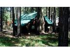 $99 / 2br - 550ft² - !!!!!LAKE TAHOE LOG CABIN!!!!!