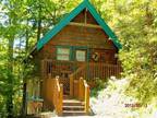 $99 Luxury Log Cabin Across Street From POOL