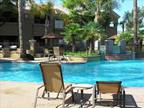 Scottsdale Vacation Rentals from Owner Direct