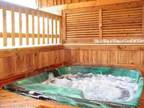 $99 / 1br - ROMANTIC HONEYMOON STYLE CABINS (PIGEON FORGE) 1br bedroom