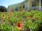 $200 / 3br - Charming Tastefully Renovated ′s Beach Cottage (Saint