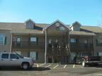 $65 / 1br - 600ft² - $65 / 1br - 600ft² - BRANSON 1 BED CONDO, SLEEPS 4