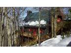 2200ft² - Ski Beech Mt. Cabin with 4 bedrooms (Beech Mt. NC)