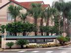 $99 / 1br - **BLUETREE RESORT AT BEAUTIFUL LAKE BUENA VISTA** (LAKE BUENA VISTA)