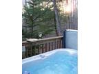 $135 / 3br - 3ba Luxury LOG CABIN~Hot Tub~Woods~Views~Spa~WiFi~BBQ~Air Cond.