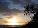 $109 / 1br - Deluxe Maui Ocean View Condo, Summer Special