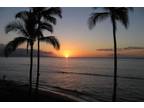 $245 / 2br - 2BR/2BA Maui OCEANFRONT April 21 - May 8, $245/nt (Maui, Hawaii