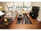 210 Short Term Furnished Housing @ 600 Lofts, Your Loft in the