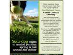 Canine Country Getaway at Glen Highland Farm