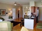 $2450 / 2br - 1201ft² - Furnished 2 bedroom Apartment (Kirby/Holcombe/Med