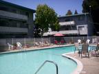$1475 / 1br - Minutes Away From Castro St