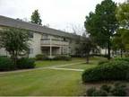 Move-In Special ---Rent and Deposit Included (Stonebrook Apartments )