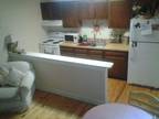 one bed one bath aprt sublet mid may or even June 1 use-july (downtown)