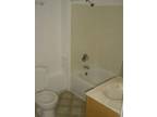 $620 / 3br - 1300ft² - Downtown Duluth, very spacious, all new, lndry, cats OK