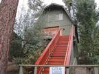 Adorable woodsy cabin with wonderful mountain and tree views.