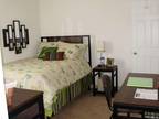 $405 / 4br - 1315ft² - Harrisonburg Student Housing (South View) 4br bedroom