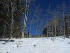 Property for sale in Cripple Creek, CO for