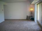 $899 / 2br - 812ft² - Gorgeous two bedroom minutes from downtown AA