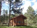 Desperado forested log vacation home