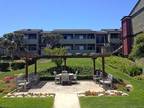 $1646 / 1br - 690ft² - 1bedroom apartment in San Bruno/San Mateo County 1br