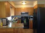 $795 / 3br - 1100ft² - All new 3 bedroom 1 bath attached garage