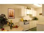 $729 / 1br - 686ft² - ~JOIN OUR FUTURE RESIDENT CLUB~SECURE YOUR NEW HOME