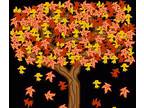 Falling Leaves, Falling Prices~Watch your Savings Grow!