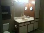 $900 / 2br - Luxurious2 Bedroom/ 2 Bathroom (The Woodlands) 2br bedroom