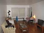 $860 / 2br - 2 Bedroom spacious apartment for sublet, March to August (Woodlawn