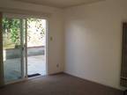 $1300 / 1br - GREAT PRICE-Spacious Clean & Sunny Duplex in a Great Location