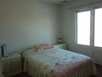 Looking for a Female Roommate in Woodbridge, NJ