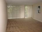 $1696 / 495ft² - Quiet, Cozy, and Serene living in Belmont available May 9th!!