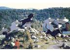 $1100 / 2br - 1250ft² - summer ruidoso condo near casinos (next to the horse