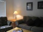 $1375 / 1br - Corporate Housing in GALLERIA Area - FULLY FURNISHED - Great