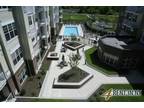 1000ft - Huge One br luxurious Apartment.