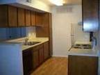 $600 / 1br - Condo's for Lease! Specials!! Call Today! (North Shore