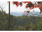 Property for sale in Cherry Log, GA for