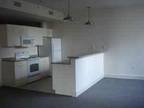 $1275 / 1br - ft² - Modern 1 Bedroom with Open Floor Plan--Plenty Of Closet