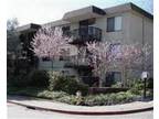 $1600 / 1br - 690ft² - 1bd apt with patio, great location!