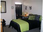 $549 / 1br - FULLY FURNISHED & 3 MIN WALK TO UK (Newtown Crossing, Lexington