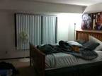 $595 / 1br - 810ft² - Great apt for sublet (Greenfield wi) (map) 1br bedroom